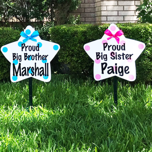 Sibling Stars, Storks of Michigan, Birth Announcement Signs, Oakland, Livingston, Wayne, And Washtenaw Counties, MI